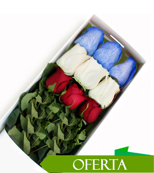 Caja de 09 Rosas Colores de la Bandera Chilena